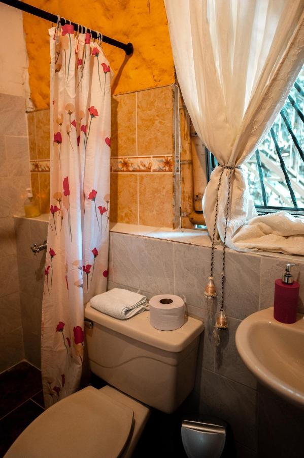 Chalet Ecoturismo La Nohelia Jericoc  Exteriér fotografie