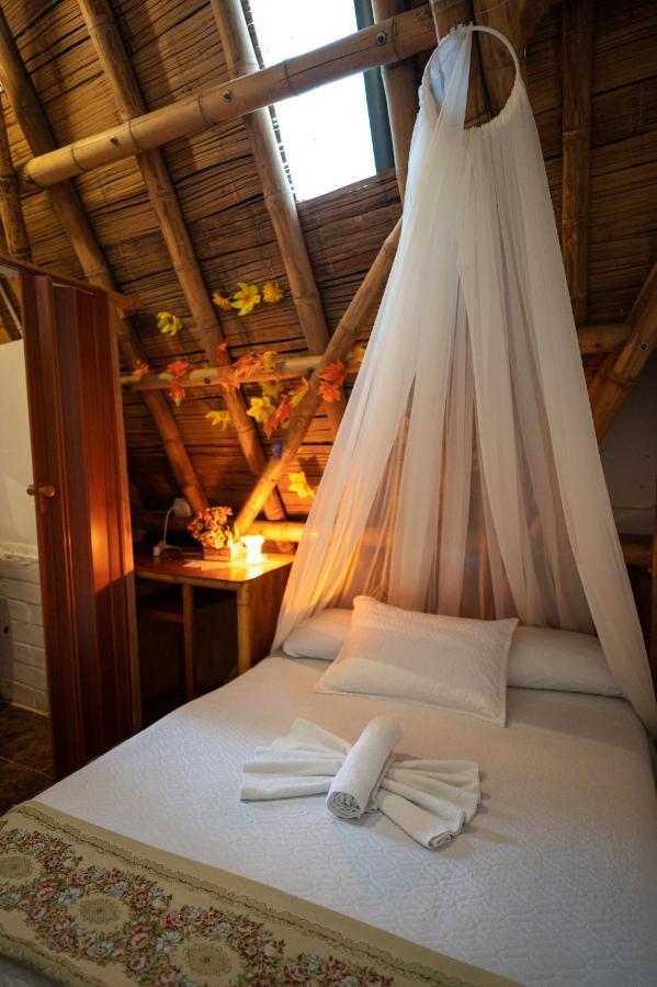 Chalet Ecoturismo La Nohelia Jericoc  Exteriér fotografie