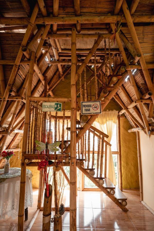 Chalet Ecoturismo La Nohelia Jericoc  Exteriér fotografie