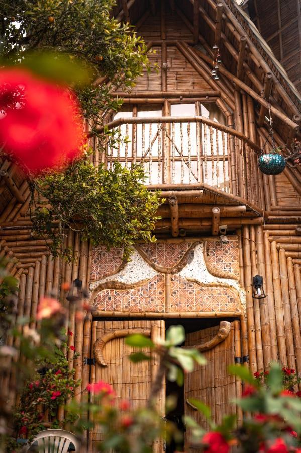 Chalet Ecoturismo La Nohelia Jericoc  Exteriér fotografie
