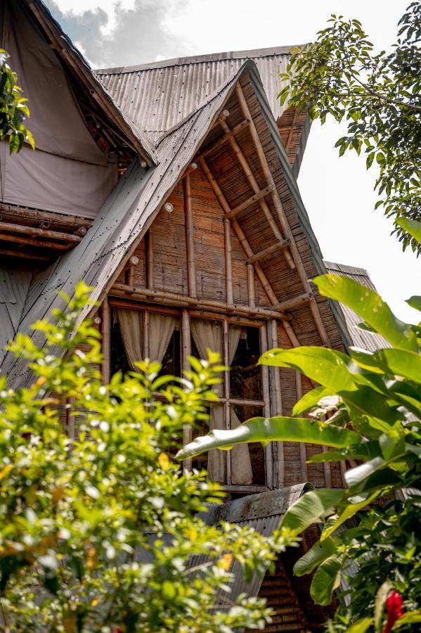 Chalet Ecoturismo La Nohelia Jericoc  Exteriér fotografie