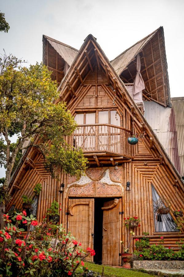 Chalet Ecoturismo La Nohelia Jericoc  Exteriér fotografie