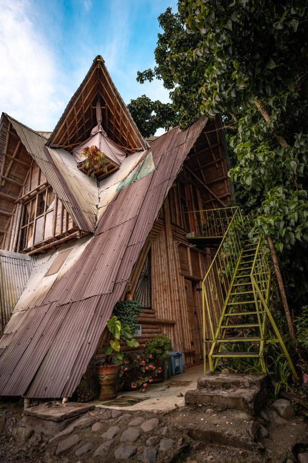 Chalet Ecoturismo La Nohelia Jericoc  Exteriér fotografie